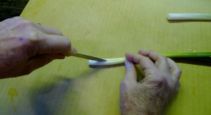 Making scallion brushes